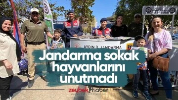 Jandarma sokak hayvanlarını unutmadı