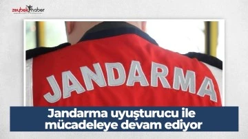 Jandarma uyuşturucu ile m&uuml;cadeleye devam ediyor