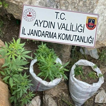 Jandarmadan uyuşturucu baskını: 4 g&ouml;zaltı
