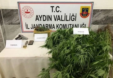 Jandarmadan uyuşturucu operasyonu: 1 g&ouml;zaltı