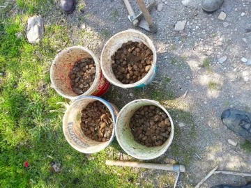 Ka&ccedil;ak salep avcıları jandarmadan ka&ccedil;amadı