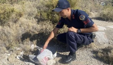 Kafasına poşet takılan martı, jandarma tarafından kurtarıldı