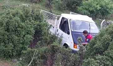 Kamyonet şarampole yuvarlandı
