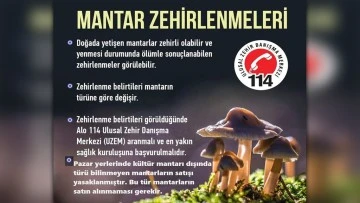 Karacasu&rsquo;da t&uuml;r&uuml; bilinmeyen mantarların satışı yasaklandı