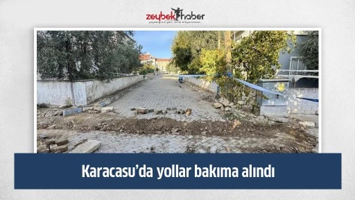 Karacasu&rsquo;da yollar bakıma alındı