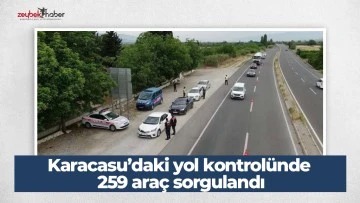 Karacasu’daki yol kontrolünde 259 araç sorgulandı