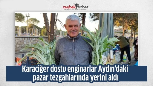 Karaciğer dostu enginarlar Aydın'daki pazar tezgahlarında yerini aldı