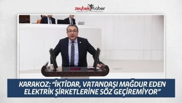 &nbsp;KARAKOZ: &ldquo;İKTİDAR, VATANDAŞI MAĞDUR EDEN ELEKTRİK ŞİRKETLERİNE S&Ouml;Z GE&Ccedil;İREMİYOR&rdquo;