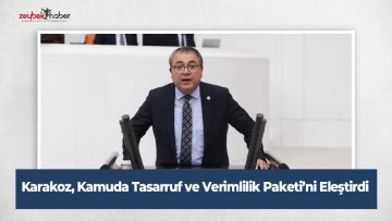 Karakoz, Kamuda Tasarruf ve Verimlilik Paketi&rsquo;ni Eleştirdi