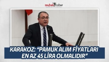 KARAKOZ: &ldquo;PAMUK ALIM FİYATLARI EN AZ 45 LİRA OLMALIDIR&rdquo;