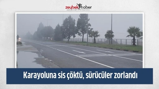 Karayoluna sis &ccedil;&ouml;kt&uuml;, s&uuml;r&uuml;c&uuml;ler zorlandı