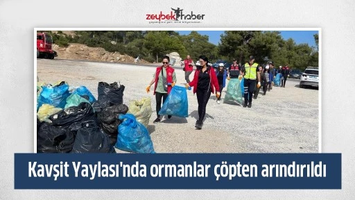 Kavşit Yaylası'nda ormanlar &ccedil;&ouml;pten arındırıldı