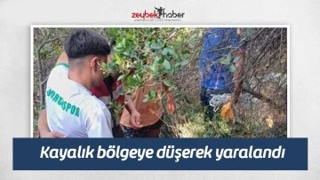 Kayalık b&ouml;lgeye d&uuml;şerek yaralandı