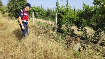 Kaybolan engelli şahsı jandarma ekipleri buldu