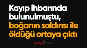 Kayıp ihbarında bulunulmuştu, boğanın saldırısı ile &ouml;ld&uuml;ğ&uuml; ortaya &ccedil;ıktı