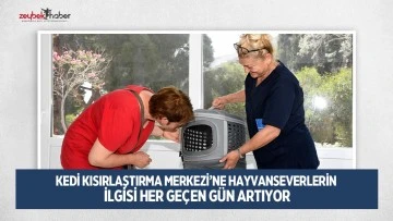 KEDİ KISIRLAŞTIRMA MERKEZİ&rsquo;NE HAYVANSEVERLERİN İLGİSİ HER GE&Ccedil;EN G&Uuml;N ARTIYOR