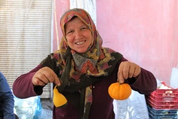 Kimi sofralar i&ccedil;in kimisi de s&uuml;s i&ccedil;in yetiştiriyor