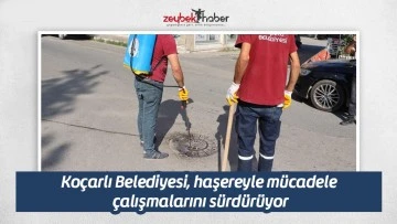 Ko&ccedil;arlı Belediyesi, haşereyle m&uuml;cadele &ccedil;alışmalarını s&uuml;rd&uuml;r&uuml;yor