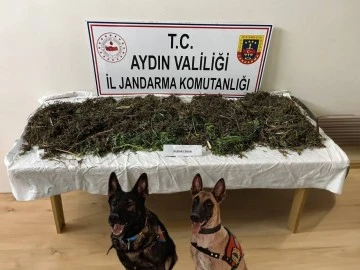 Ko&ccedil;arlı'da uyuşturucu operasyonu: 2 tutuklama