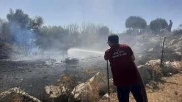 Ko&ccedil;arlı&rsquo;da zirai alan ve orman yangını