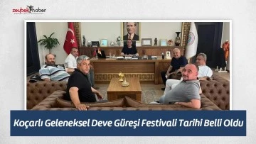 Ko&ccedil;arlı Geleneksel Deve G&uuml;reşi Festivali Tarihi Belli Oldu