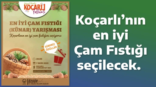 Ko&ccedil;arlı&rsquo;nın en iyi &Ccedil;am Fıstığı se&ccedil;ilecek. 