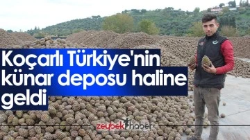 Ko&ccedil;arlı T&uuml;rkiye'nin k&uuml;nar deposu haline geldi