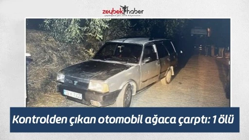 Kontrolden &ccedil;ıkan otomobil ağaca &ccedil;arptı: 1 &ouml;l&uuml;