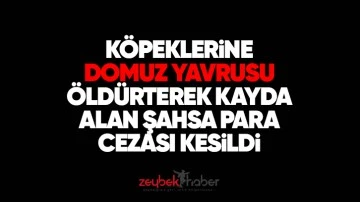 K&ouml;peklerine domuz yavrusunu &ouml;ld&uuml;rterek kayda alan şahsa para cezası