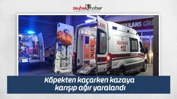 K&ouml;pekten ka&ccedil;arken kazaya karışıp ağır yaralandı