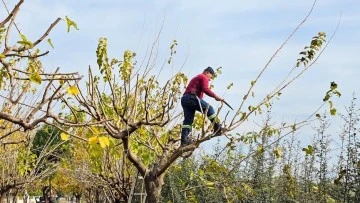K&ouml;şk Belediyesi, yeşil alanların bakım &ccedil;alışmalarını s&uuml;rd&uuml;r&uuml;yor