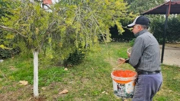 K&ouml;şk'te park ve bah&ccedil;elerin bakımı yapılıyor