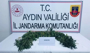 K&ouml;şk'te uyuşturucu operasyonu: 2 g&ouml;zaltı