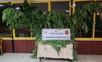 K&ouml;şk&rsquo;te uyuşturucu operasyonu
