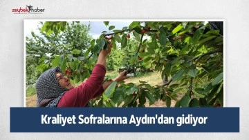 Kraliyet Sofralarına Aydın'dan gidiyor