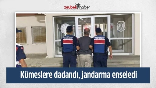 K&uuml;meslere dadandı, jandarma enseledi