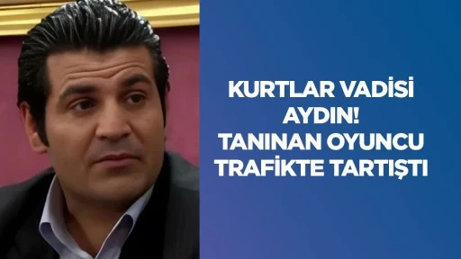 Kurtlar Vadisi Aydın! Tanınan oyuncu trafikte tartıştı