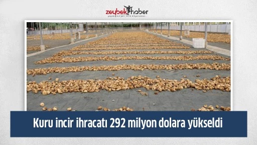 Kuru incir ihracatı 292 milyon dolara y&uuml;kseldi