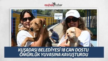 KUŞADASI BELEDİYESİ 18 CAN DOSTU &Ouml;M&Uuml;RL&Uuml;K YUVASINA&nbsp;KAVUŞTURDU