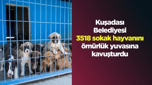 Kuşadası Belediyesi 3518 sokak hayvanını &ouml;m&uuml;rl&uuml;k yuvasına kavuşturdu