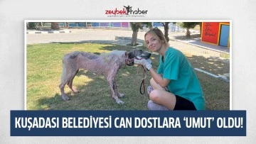 KUŞADASI BELEDİYESİ CAN DOSTLARA &lsquo;UMUT&rsquo; OLDU!