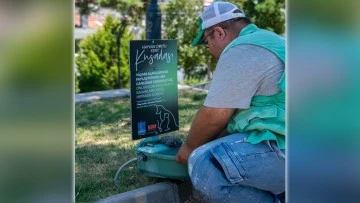 Kuşadası Belediyesi&rsquo;nden sokak hayvanlarına su ve mama desteği