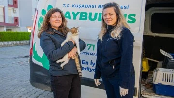 Kuşadası Belediyesi&rsquo;nin Haybulans'ı 78 bin hayvana m&uuml;dahale etti