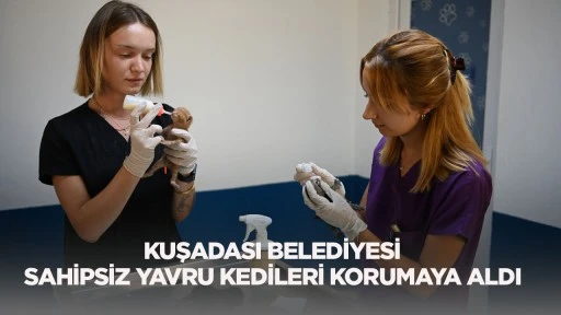 Kuşadası Belediyesi Sahipsiz Yavru Kedileri Korumaya Aldı