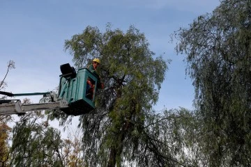Kuşadası&rsquo;nda ağa&ccedil; atıkları yakıta d&ouml;n&uuml;ş&uuml;yor