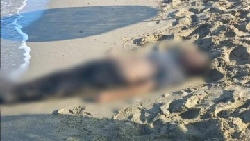 Kuşadası&rsquo;nda deniz kıyısına vurmuş erkek cesedi bulundu