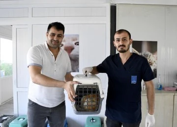 Kuşadası&rsquo;nda minik patili can dostların sağlığı emin ellerde