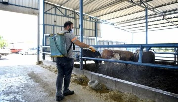 Kuşadasi&rsquo;nda sivrisinek ve haşerelere karşı d&uuml;zenli ila&ccedil;lama s&uuml;r&uuml;yor