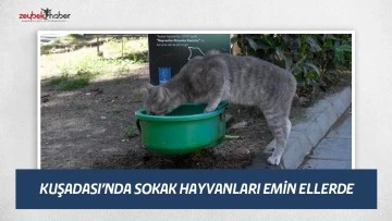 KUŞADASI&rsquo;NDA SOKAK HAYVANLARI EMİN ELLERDE