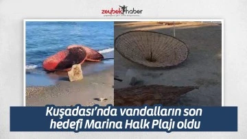 Kuşadası&rsquo;nda vandalların son hedefi Marina Halk Plajı oldu